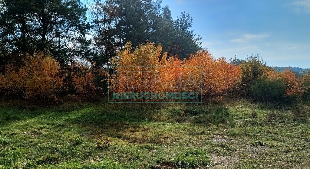 Działka 24 000 m² z dojazdem asfaltowym i prądem Piotrkowice  24 000m2 Foto 1