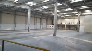 Lokal użytkowy na wynajem Poznań, Dębiec 1 500m2 Foto 1 Lokal użytkowy na wynajem Poznań, Dębiec 1 500m2 Foto 1