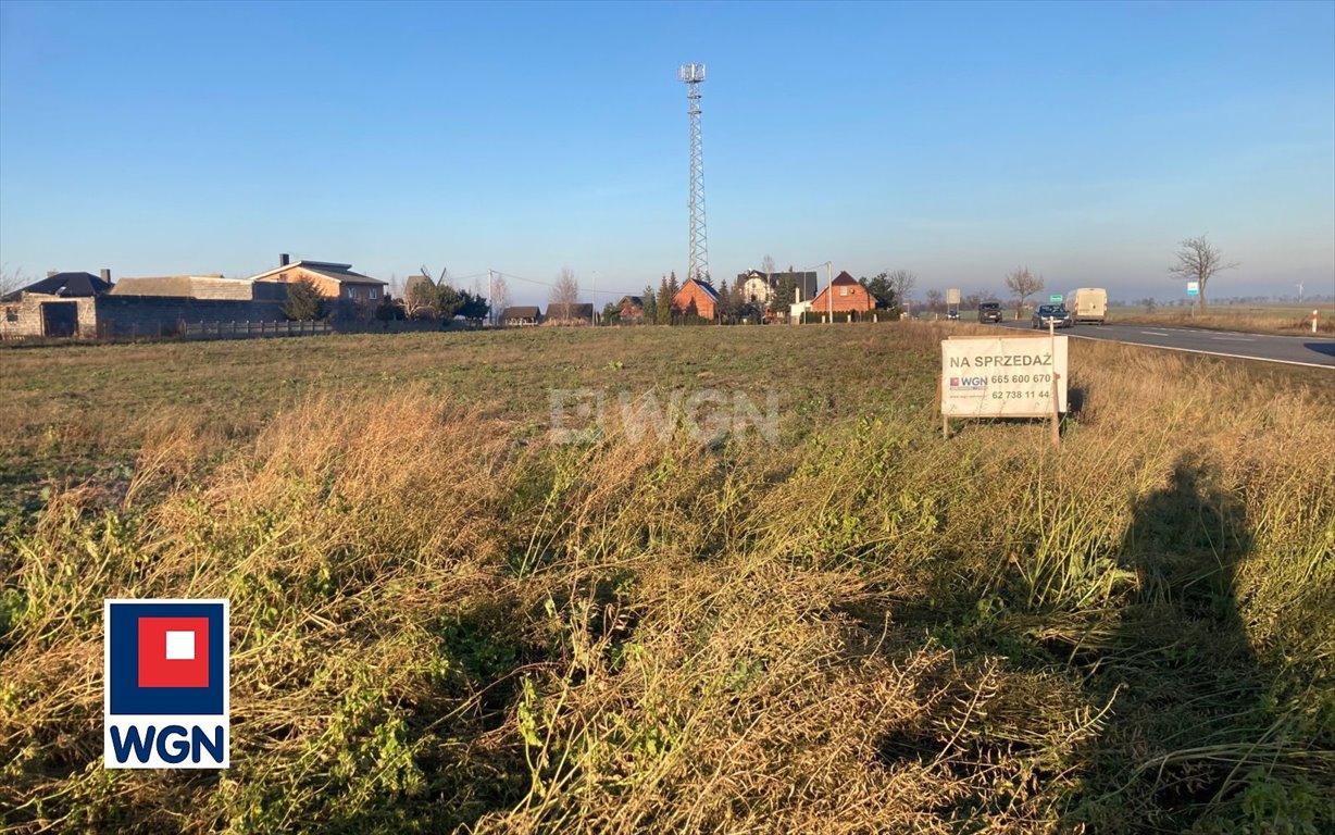 Działka inwestycyjna na sprzedaż Sobótka, Sobótka  8 500m2 Foto 8