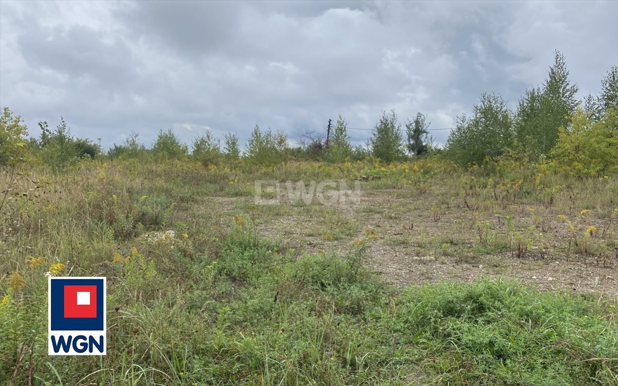 Działka inwestycyjna na sprzedaż Trzebinia, okolice Górki  12 940m2 Foto 2