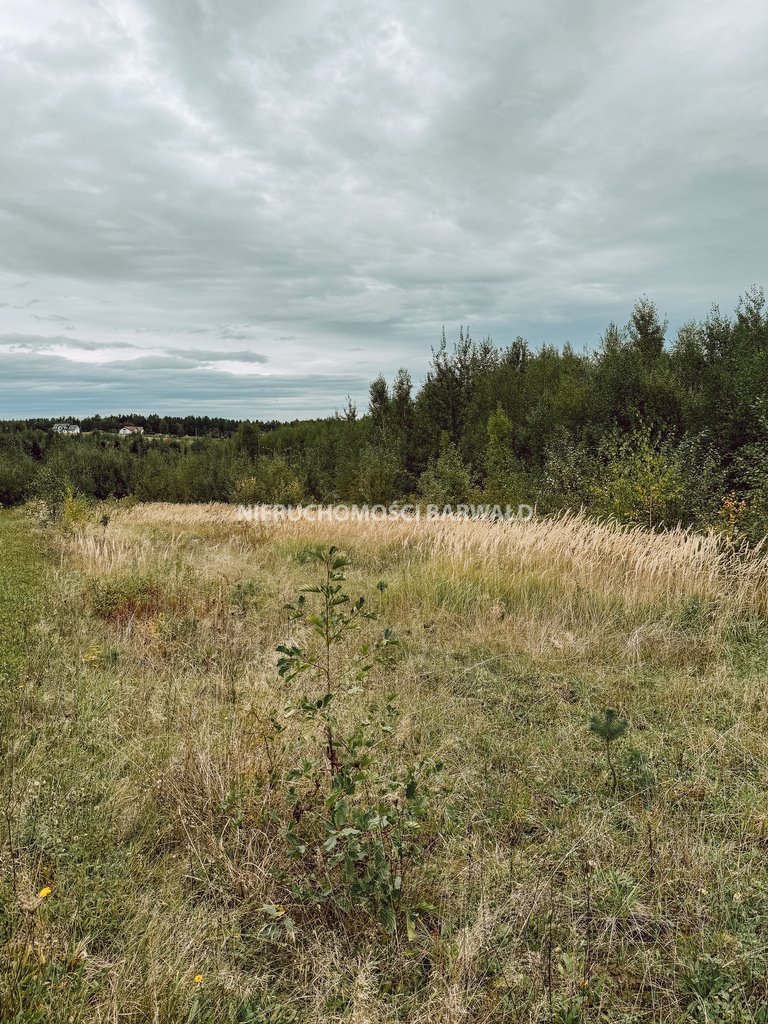 Działka siedliskowa na sprzedaż Lanckorona  7 821m2 Foto 1