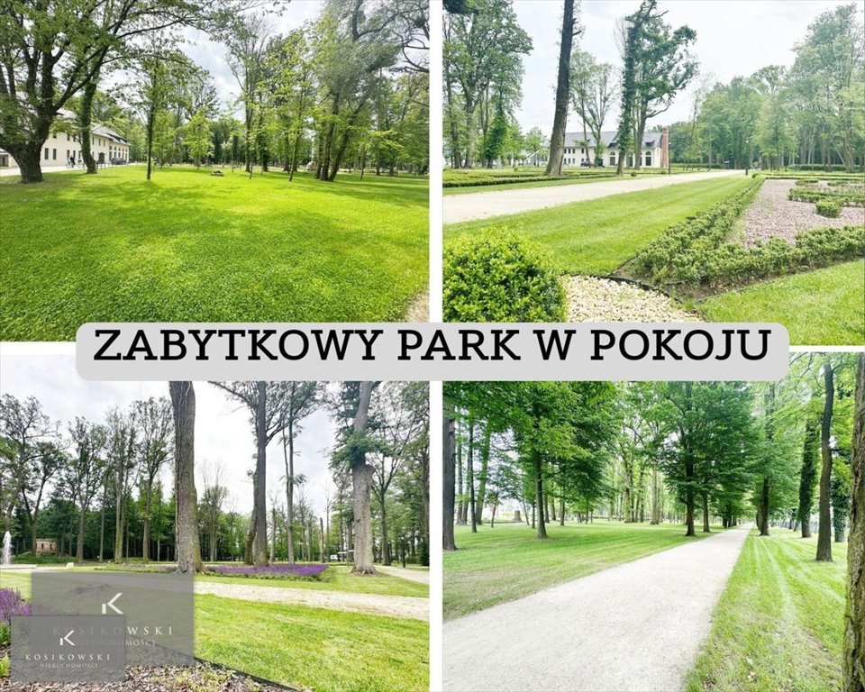 Dom wolnostojący 234 m² - duża działka 28 arów w Pokój Namysłów, gmina Pokój  234m2 Foto 1