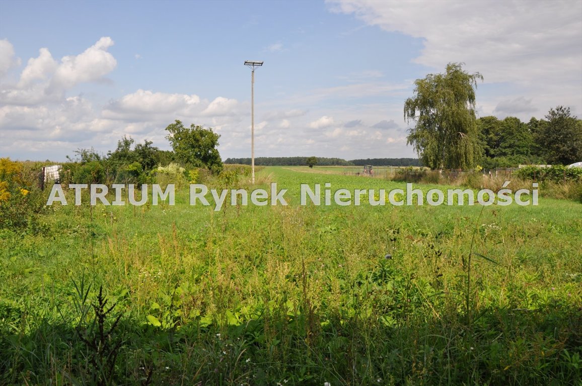 Siedlisko z domem i stodołą, 180 m2, 3 tys. m2 działki Szydłów  180m2 Foto 1