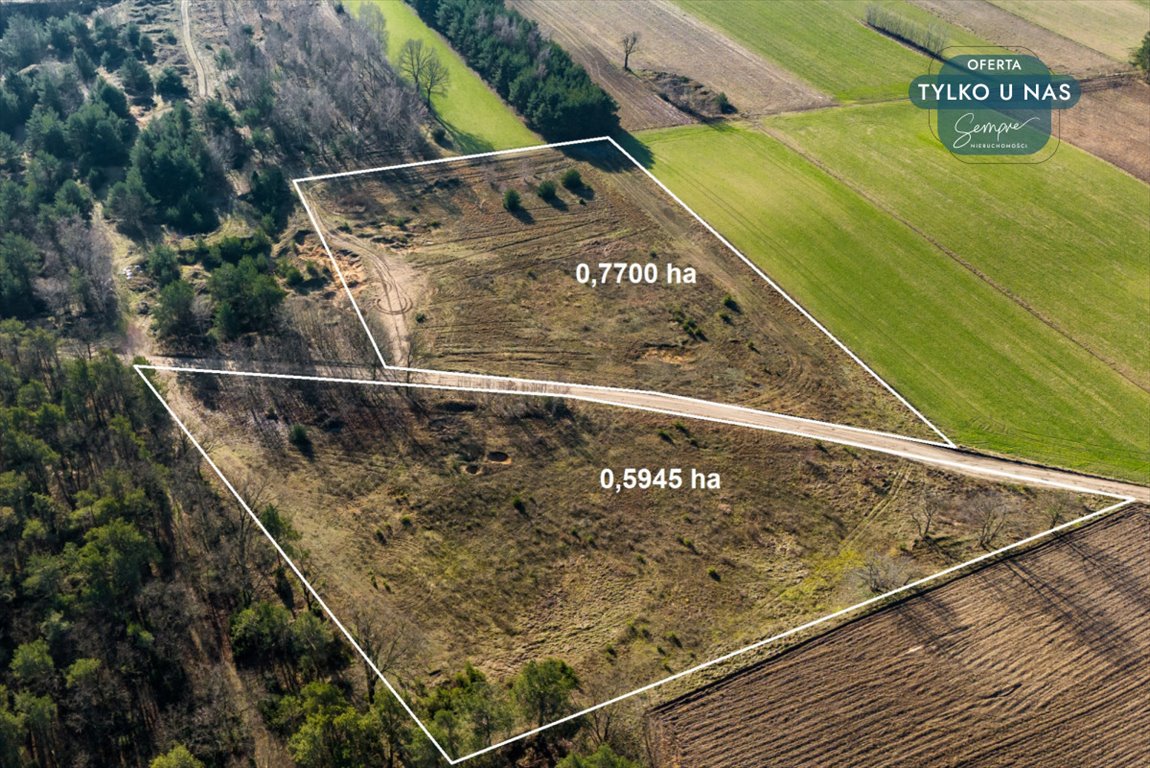 Działka rolna na sprzedaż Wilczków  13 536m2 Foto 1