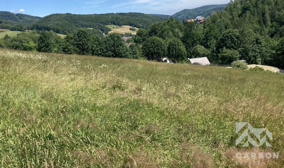 Działka budowlana na sprzedaż Wisła, Jawornik, Cieślarów  1 931m2 Foto 5