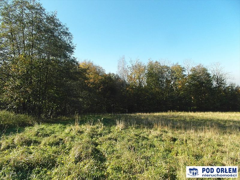 Działka budowlana na sprzedaż Bielsko-Biała, Kamienica 5 000m2 Foto 1 Działka budowlana na sprzedaż Bielsko-Biała, Kamienica 5 000m2 Foto 1