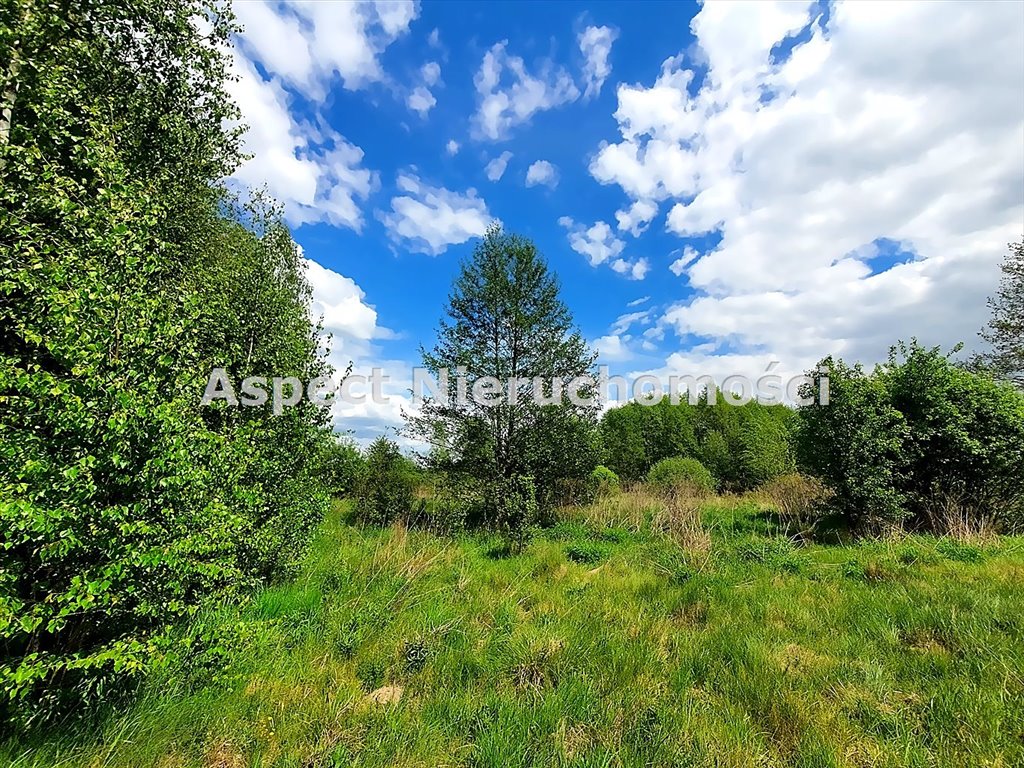 Działka budowlana na sprzedaż Ignatki  7 411m2 Foto 1