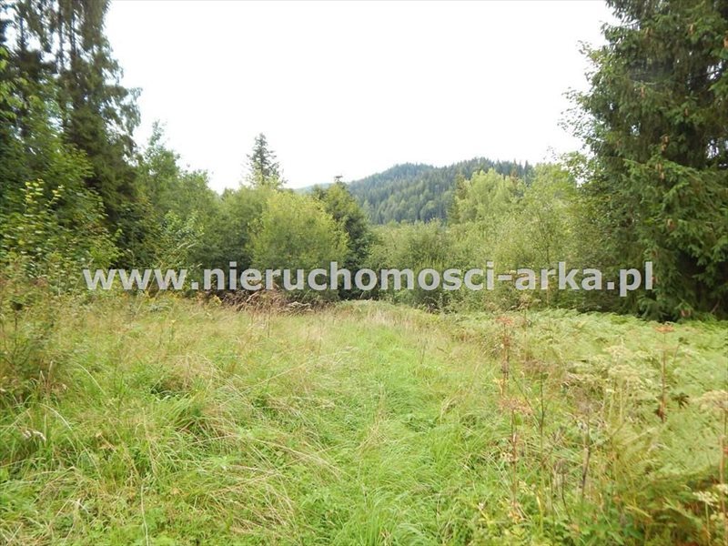 Działka inna na sprzedaż Szczawa 4 800m2 Foto 1 Działka inna na sprzedaż Szczawa 4 800m2 Foto 1