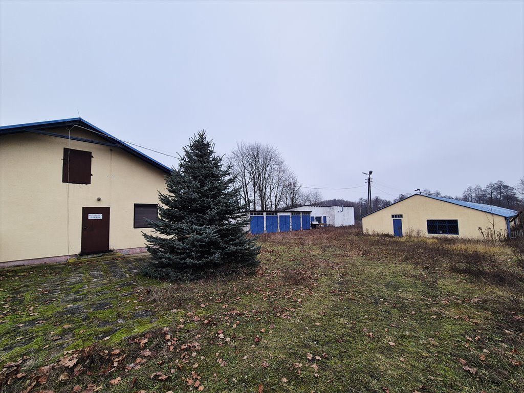 Sprzedam nieruchomość produkcyjno-usługową 850 m² z biurem i garażami Białnynin, Białynin Krasówka  850m2 Foto 1