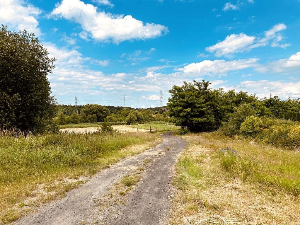 Działka inwestycyjna na sprzedaż Przęsocin, Słoneczna  95 600m2 Foto 5