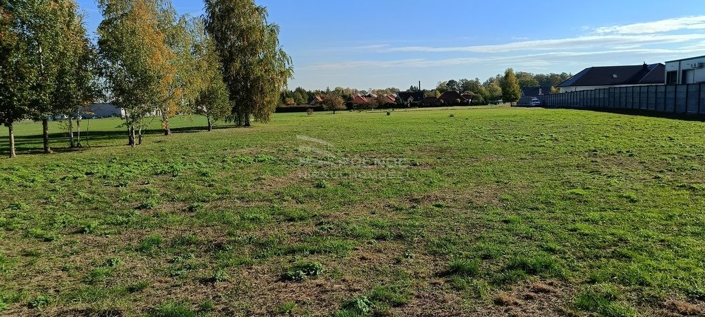 Działka komercyjna na sprzedaż Kruszyn, Platanowa  7 698m2 Foto 7