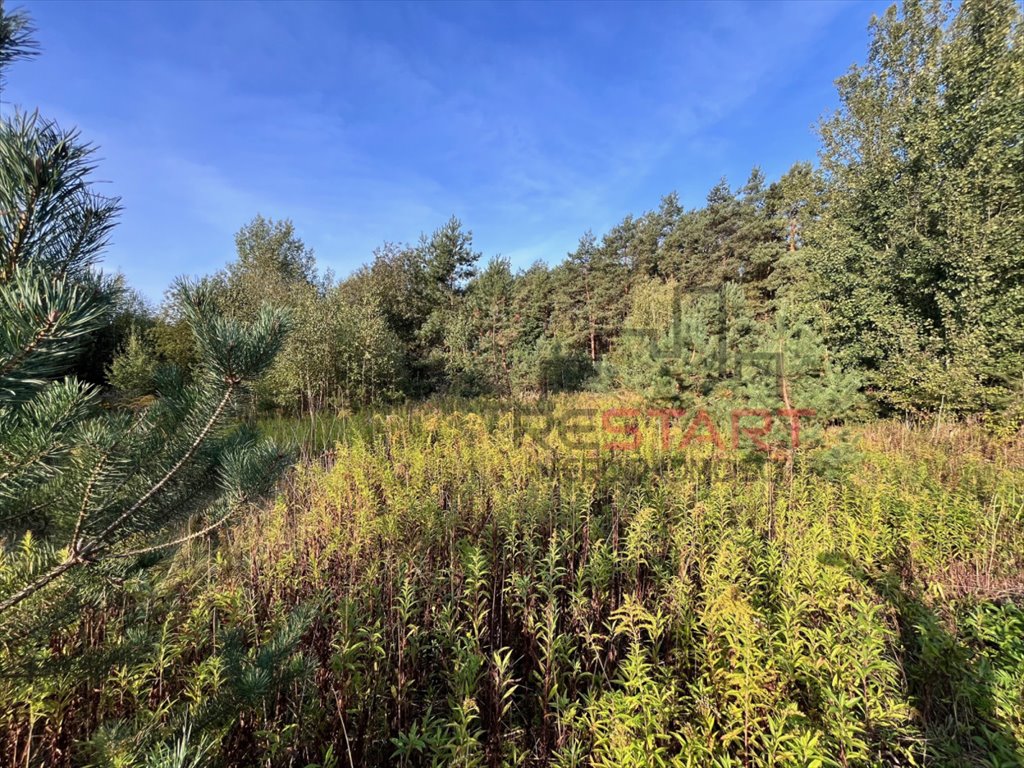 Działka rolna na sprzedaż Nosy  28 400m2 Foto 6