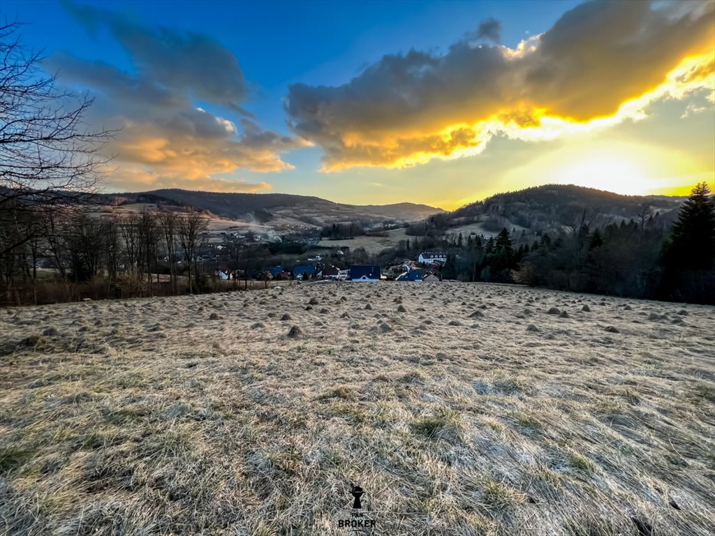 Działka budowlana na sprzedaż Skomielna Czarna  1 485m2 Foto 6