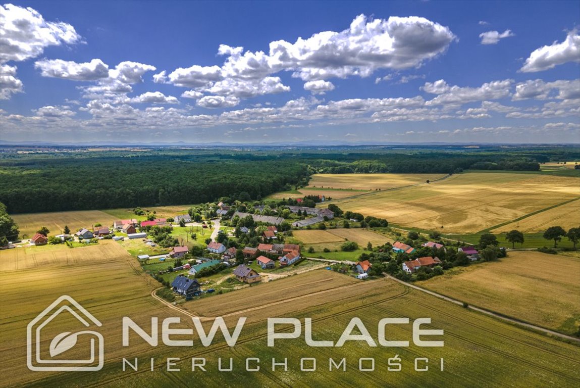Zdjęcie 3
