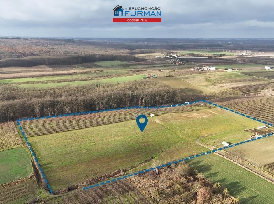 Działki w Białośliwiu przy lesie – idealne pod dom i inwestycję Białośliwie  613m2 Foto 1