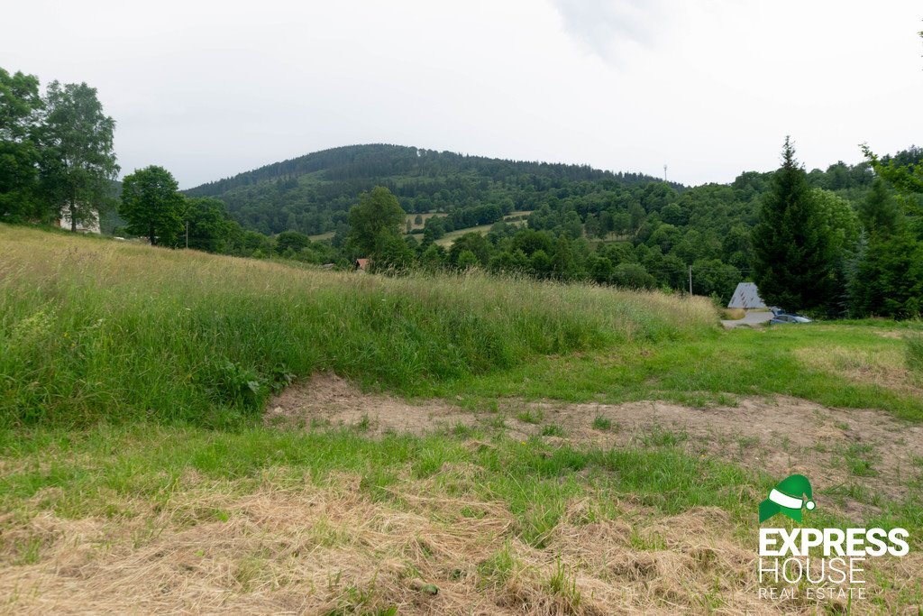 Działka budowlana na sprzedaż Stronie Śląskie, Polna  2 617m2 Foto 5