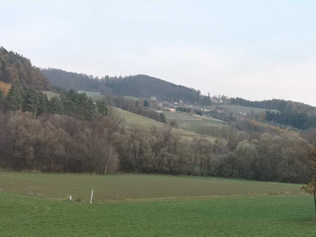 Działka budowlana na sprzedaż Kłodzko, Święcko  296m2 Foto 5