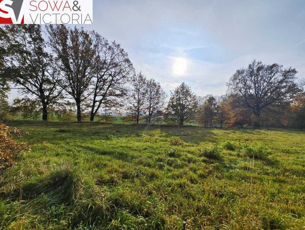 Działka inna na sprzedaż Górczyca  1 700m2 Foto 7