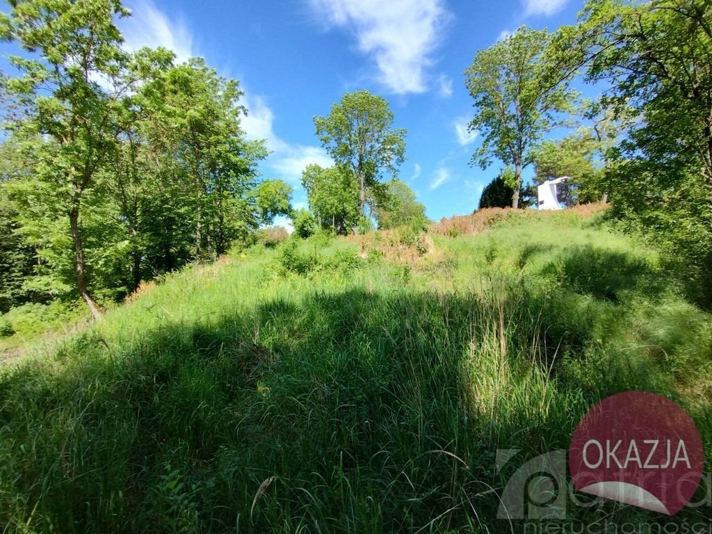 Działka inna na sprzedaż Gozdowice  1 100m2 Foto 6