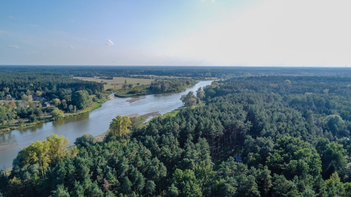 Działka rekreacyjna na sprzedaż Brańszczyk, Brańszczyk-Nakieł, Gajowa  1 004m2 Foto 9