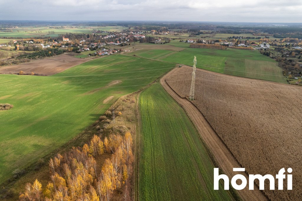 Działka rolna na sprzedaż Dźwierzuty  77 000m2 Foto 15