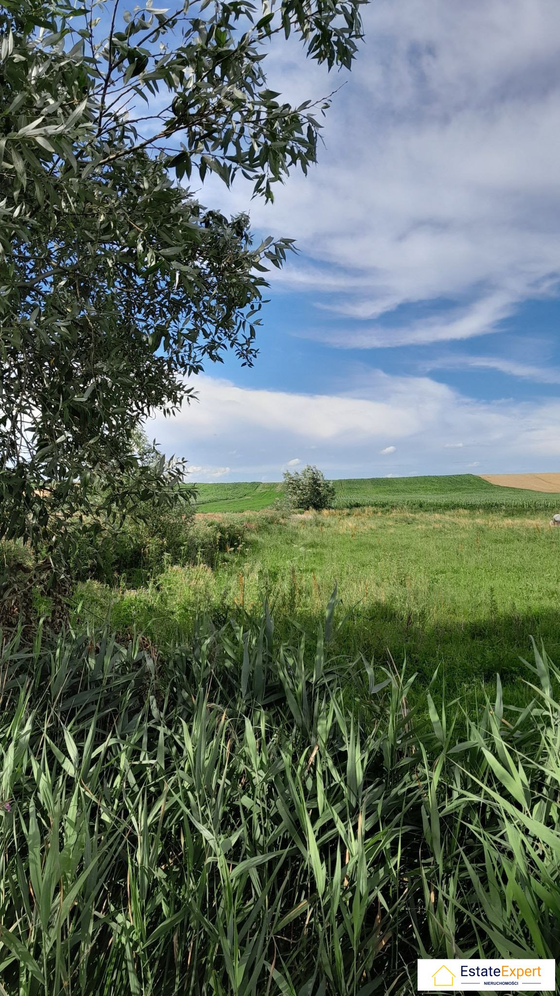 Działka inna na sprzedaż Szyszczyce  2 200m2 Foto 2