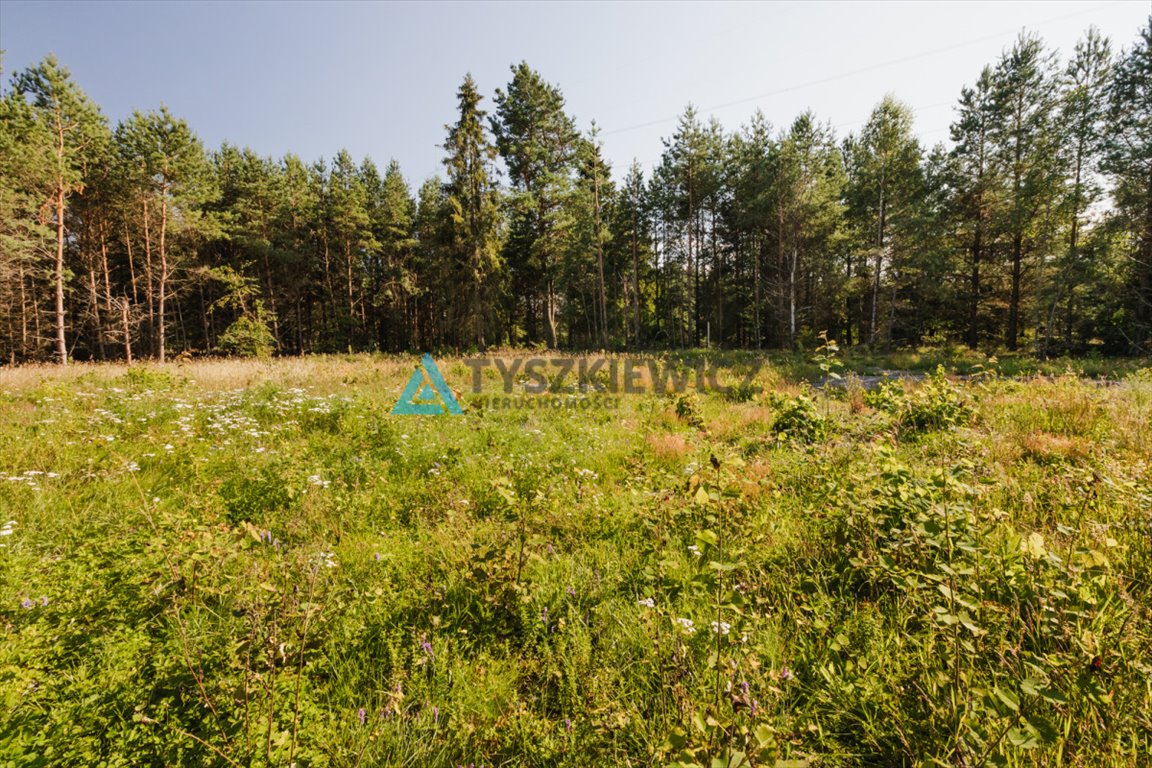 Działka budowlana na sprzedaż Kowalewo, Smolna  1 415m2 Foto 8