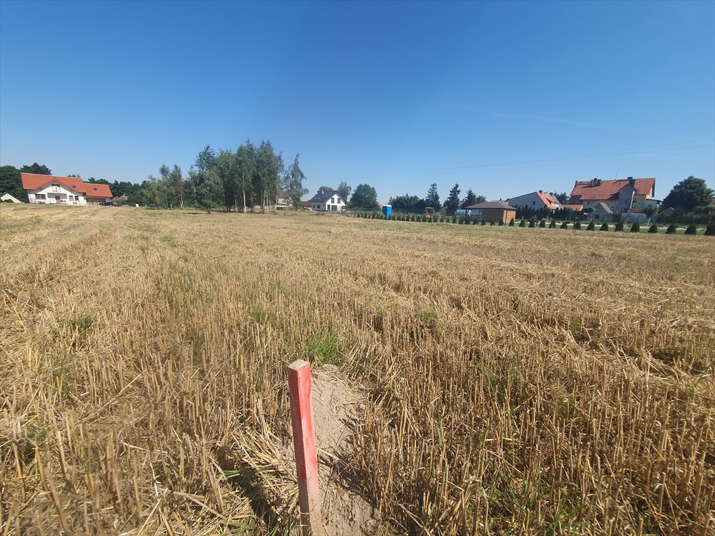 Zdjęcie 5
