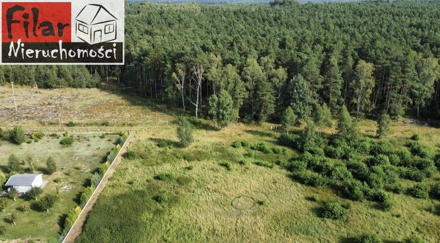 Działka z warunkami zabudowy w leśnej okolicy - zapraszam Nowe Dąbie  2 995m2 Foto 1