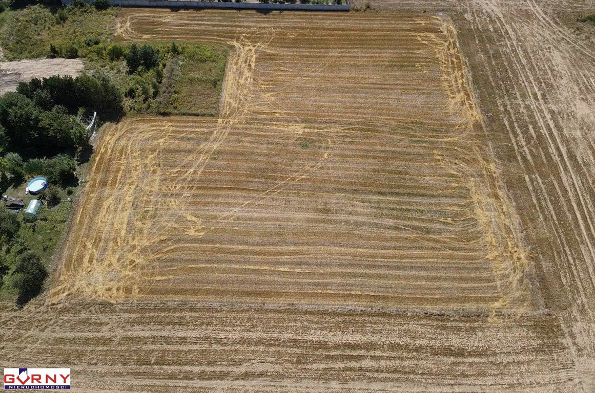 Działka inna na sprzedaż Piotrków Trybunalski  3 370m2 Foto 3