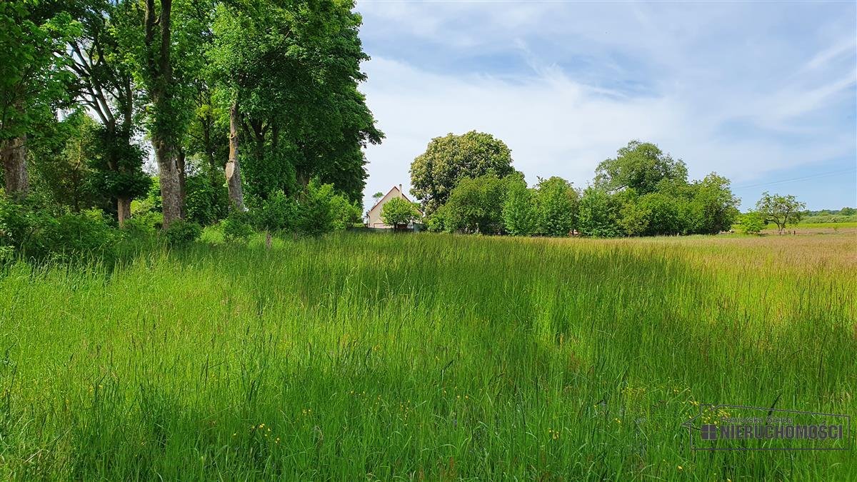 Działka inna na sprzedaż Nieżyn, działka  1 500m2 Foto 10