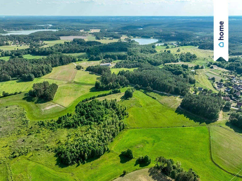 Działka budowlana na sprzedaż Łubiana, Leśna  1 000m2 Foto 6