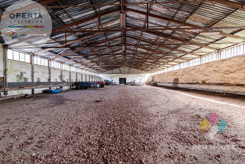 Lokal użytkowy na sprzedaż Dobrąg  700m2 Foto 12