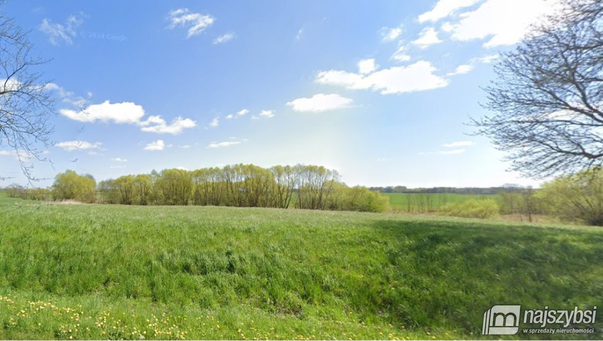 Działka rolna na sprzedaż Jenikowo  199 000m2 Foto 5