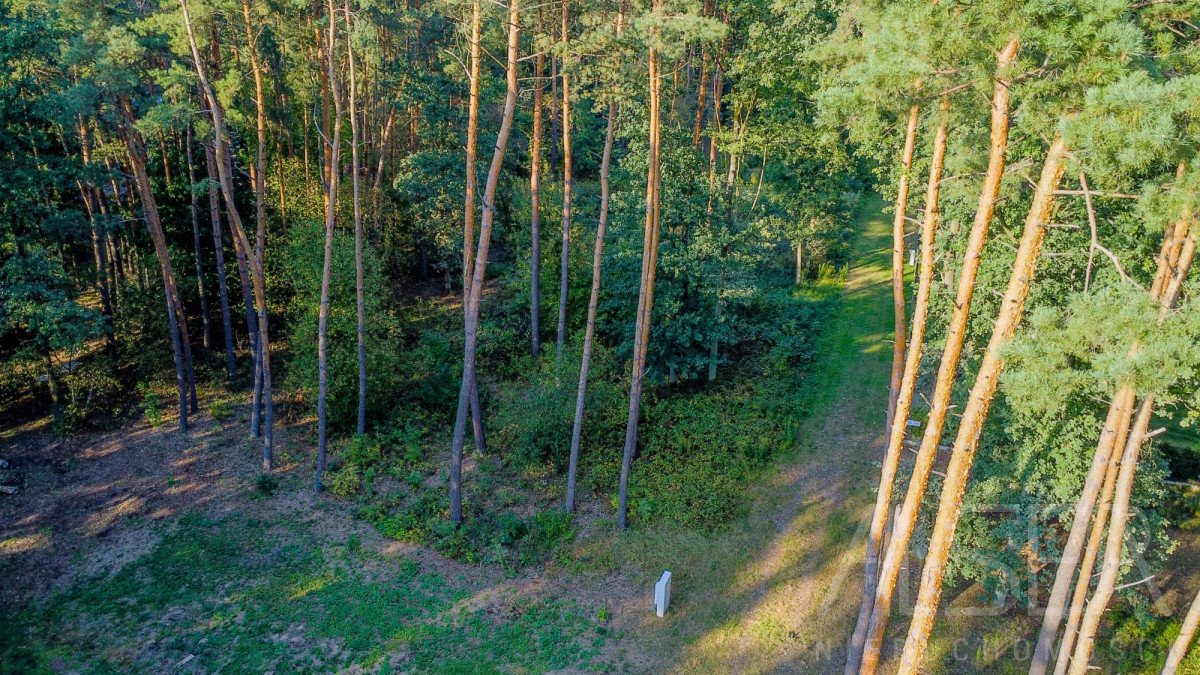 Działka rekreacyjna na sprzedaż Brańszczyk, Brańszczyk-Nakieł, Gajowa  1 004m2 Foto 5