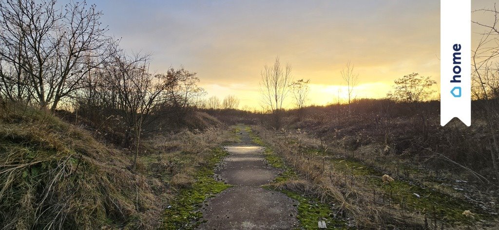 Działka usługowa Lipowa 5000 m2 z wysokim współczynnikiem zabudowy Wysoka, Lipowa  5 000m2 Foto 1