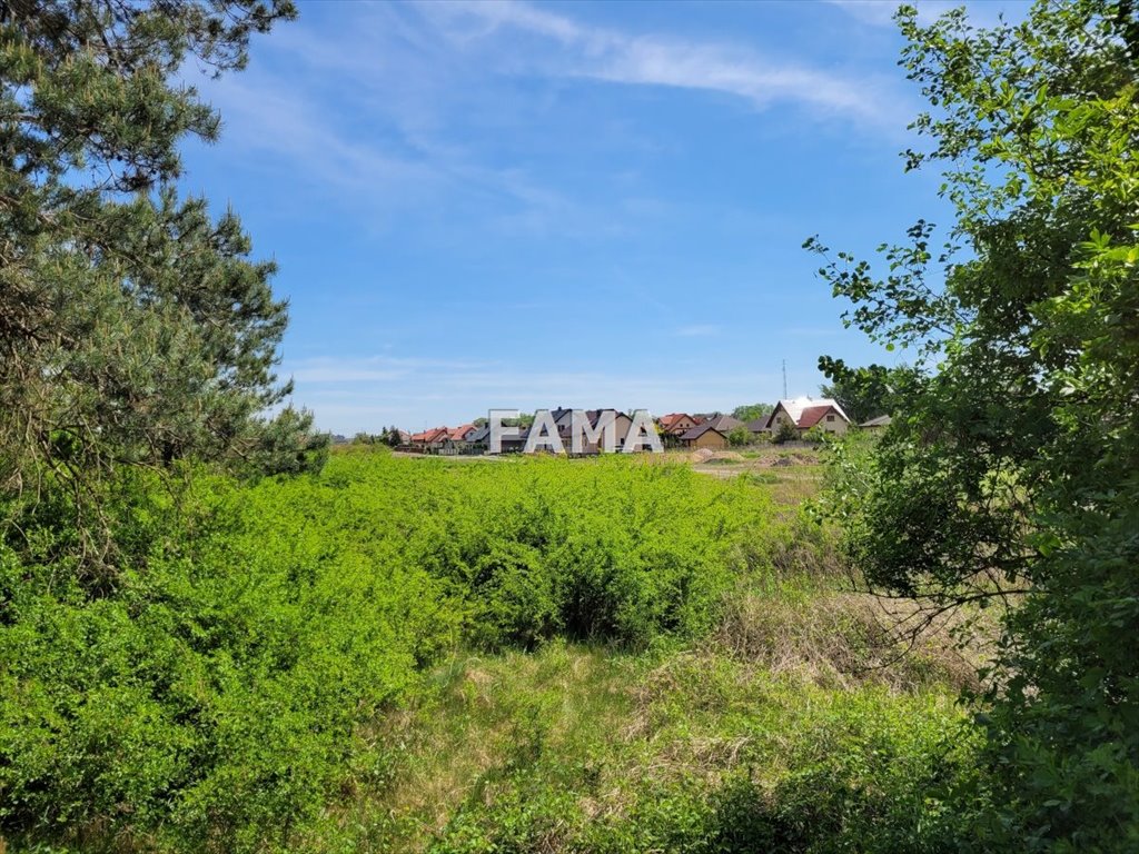 Działka budowlana na sprzedaż Szpetal Górny, Jasna  3 019m2 Foto 2