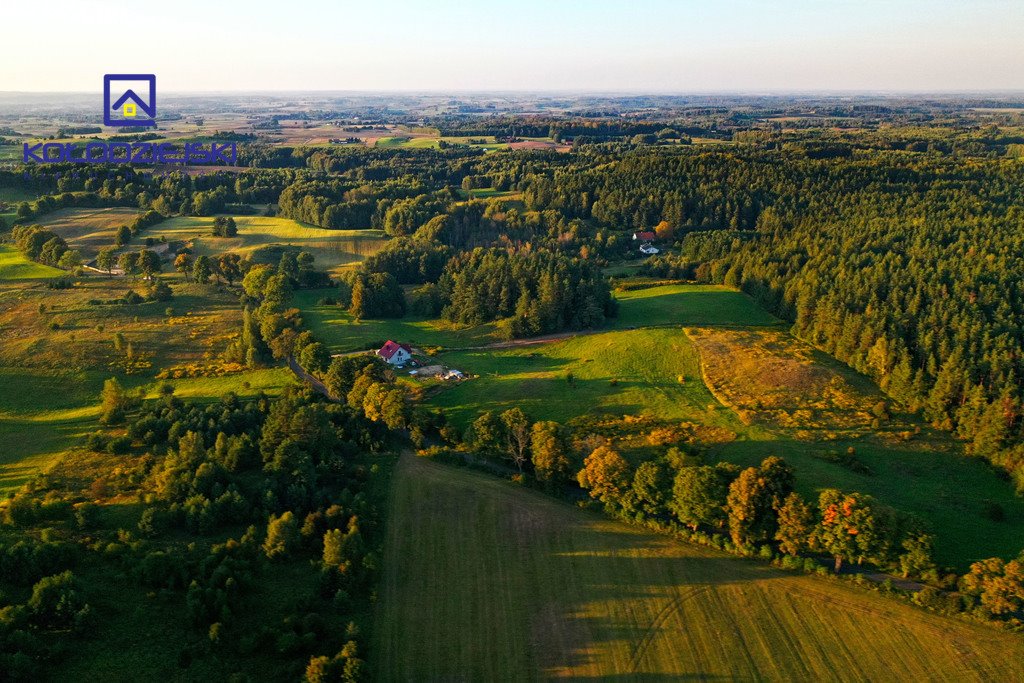 Działka rolna na sprzedaż Pupki  3 009m2 Foto 1