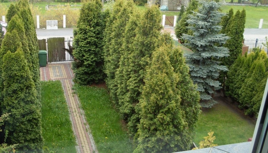 Dom na sprzedaż Inowrocław 270m2 Foto 1 Dom na sprzedaż Inowrocław 270m2 Foto 1