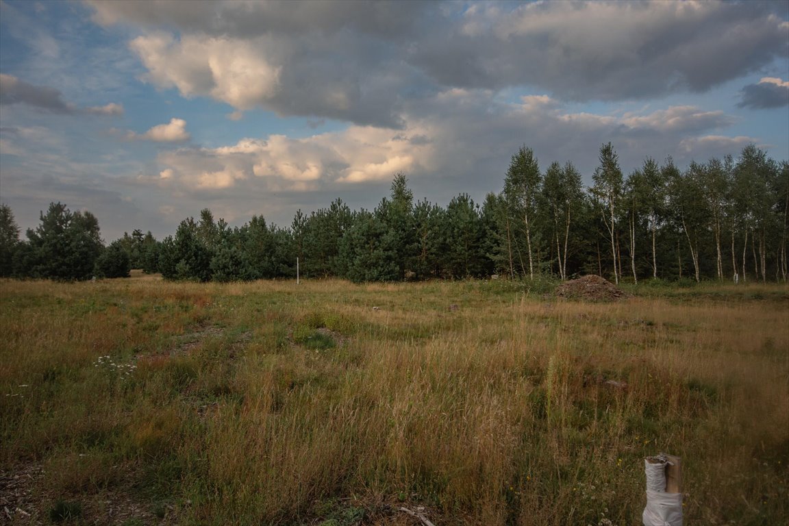 Działka inna na sprzedaż Kowalewo  1 005m2 Foto 8