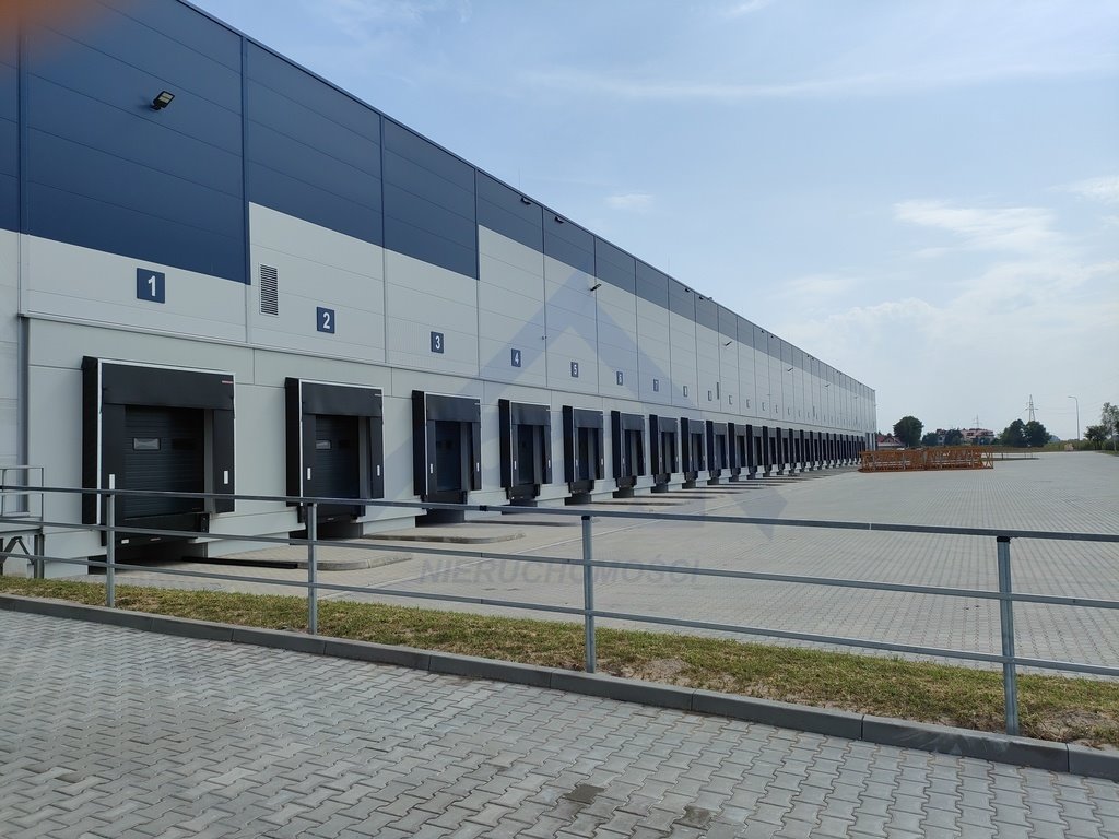 Magazyn 1 900 m² z dokami w Błoniu – dostępny od zaraz Błonie  1 900m2 Foto 1