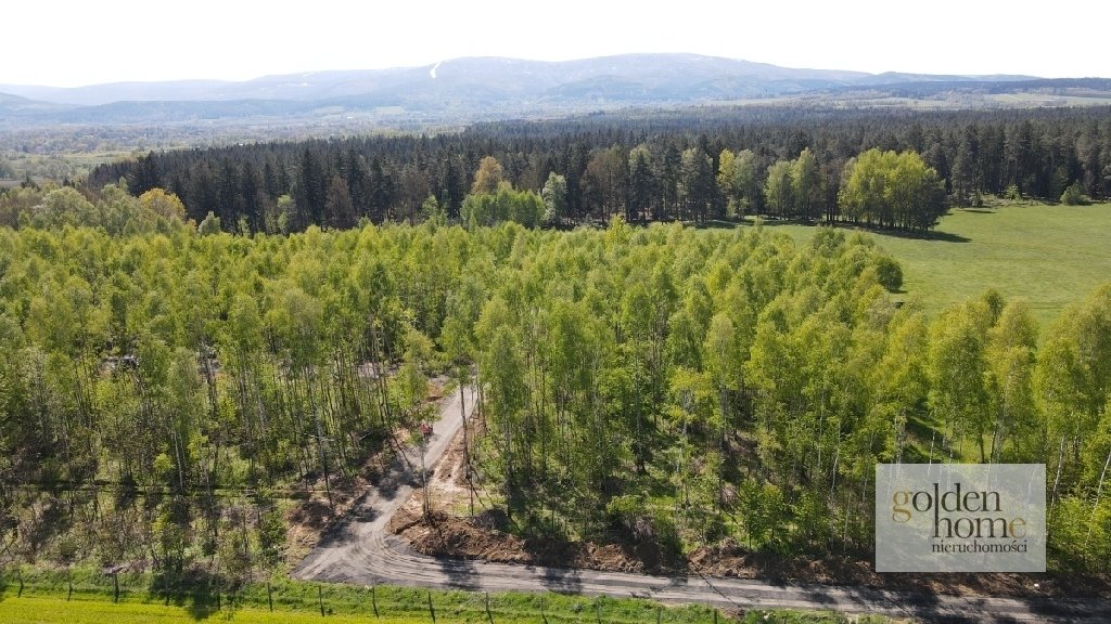 Działka budowlana na sprzedaż Leśna, Świecie  950m2 Foto 1