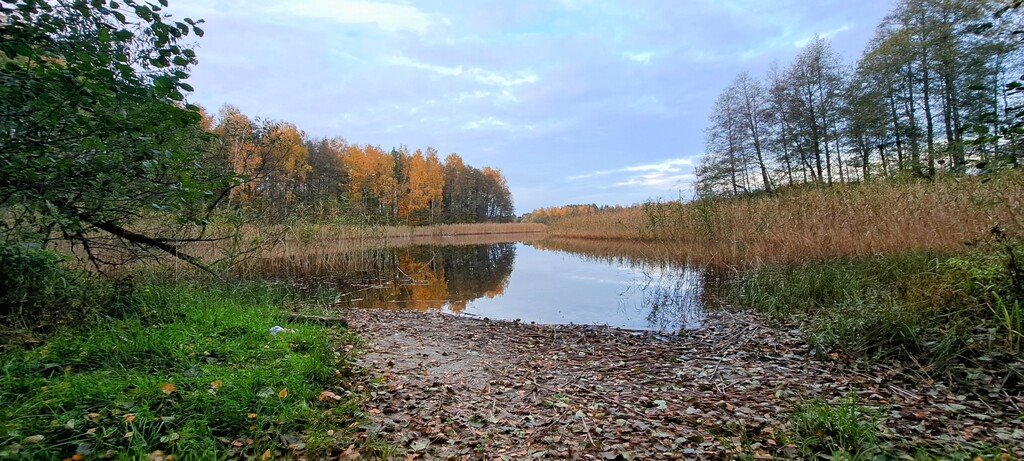 Działka leśna z prawem budowy na sprzedaż Piasutno  40 050m2 Foto 1