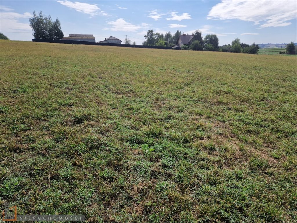 Działka budowlana na sprzedaż Sieciechowice  1 000m2 Foto 7