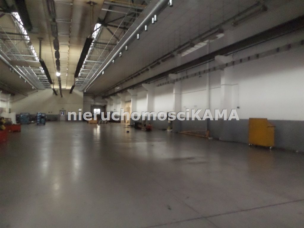 Magazyn na wynajem Bielsko-Biała  3 460m2 Foto 8