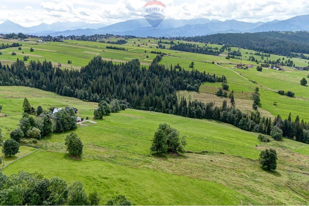 Działka budowlana na sprzedaż Nowe Bystre  4 442m2 Foto 7