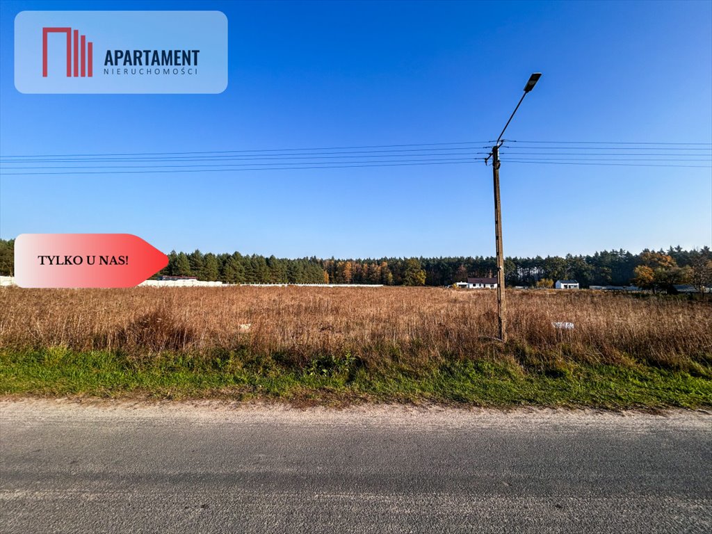 Działka gospodarstwo rolne na sprzedaż Wałdowo Królewskie, Zacisze  3 637m2 Foto 1