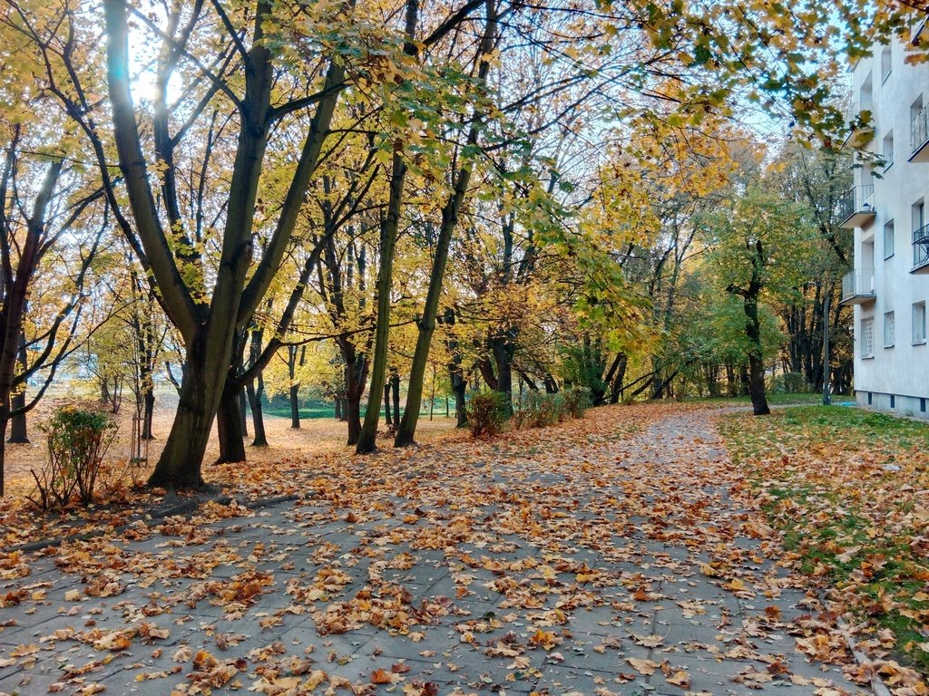 Mieszkanie dwupokojowe na sprzedaż Łódź, Bałuty, Zmienna  50m2 Foto 3