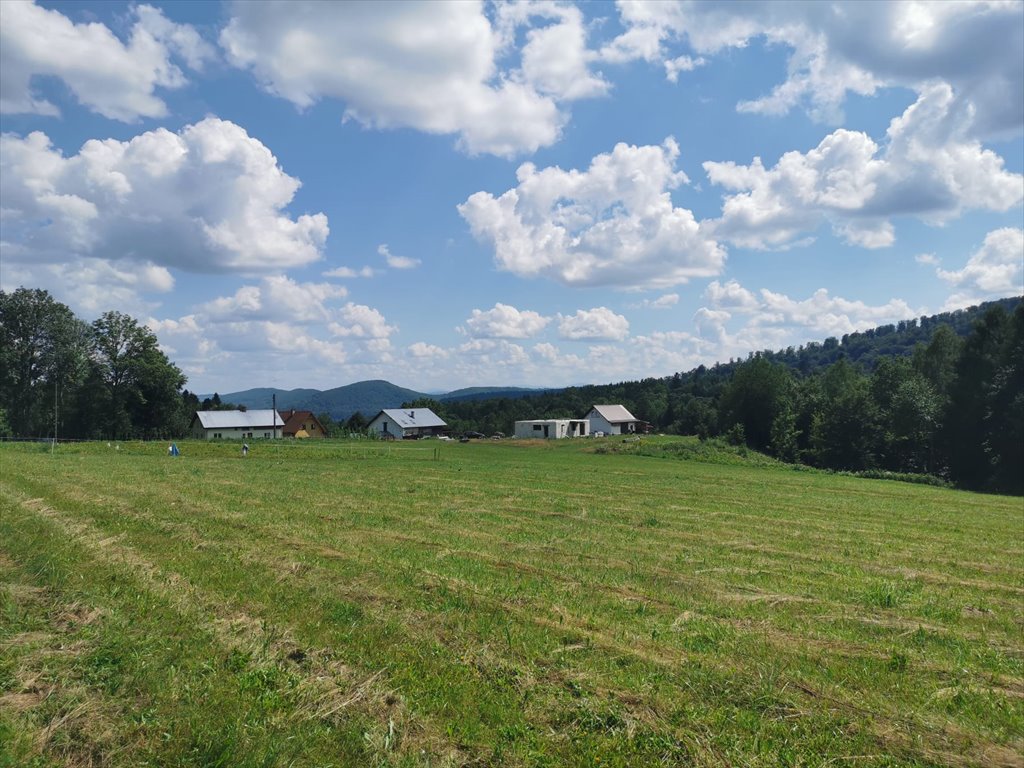 Działka rolna na sprzedaż Uherce Mineralne  4 900m2 Foto 8