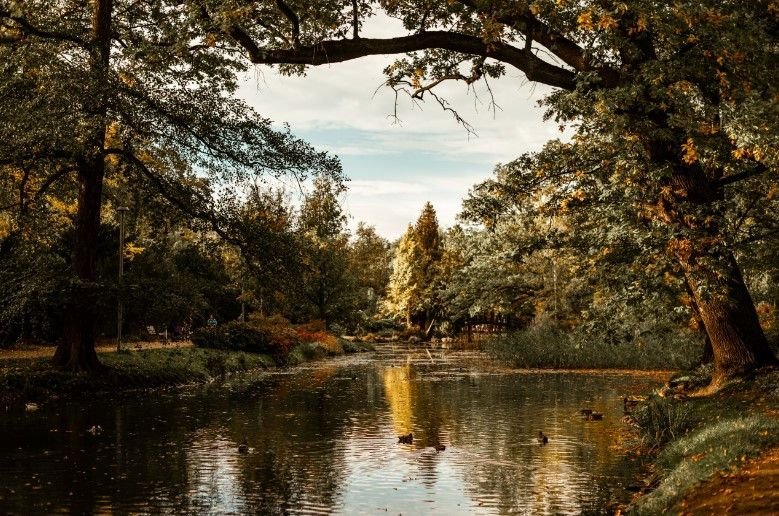 Mieszkanie na sprzedaż Wrocław, Zalesie, Park Szczytnicki  121m2 Foto 4